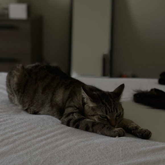 Meet your Posher, Salem - Picture 1 of 1